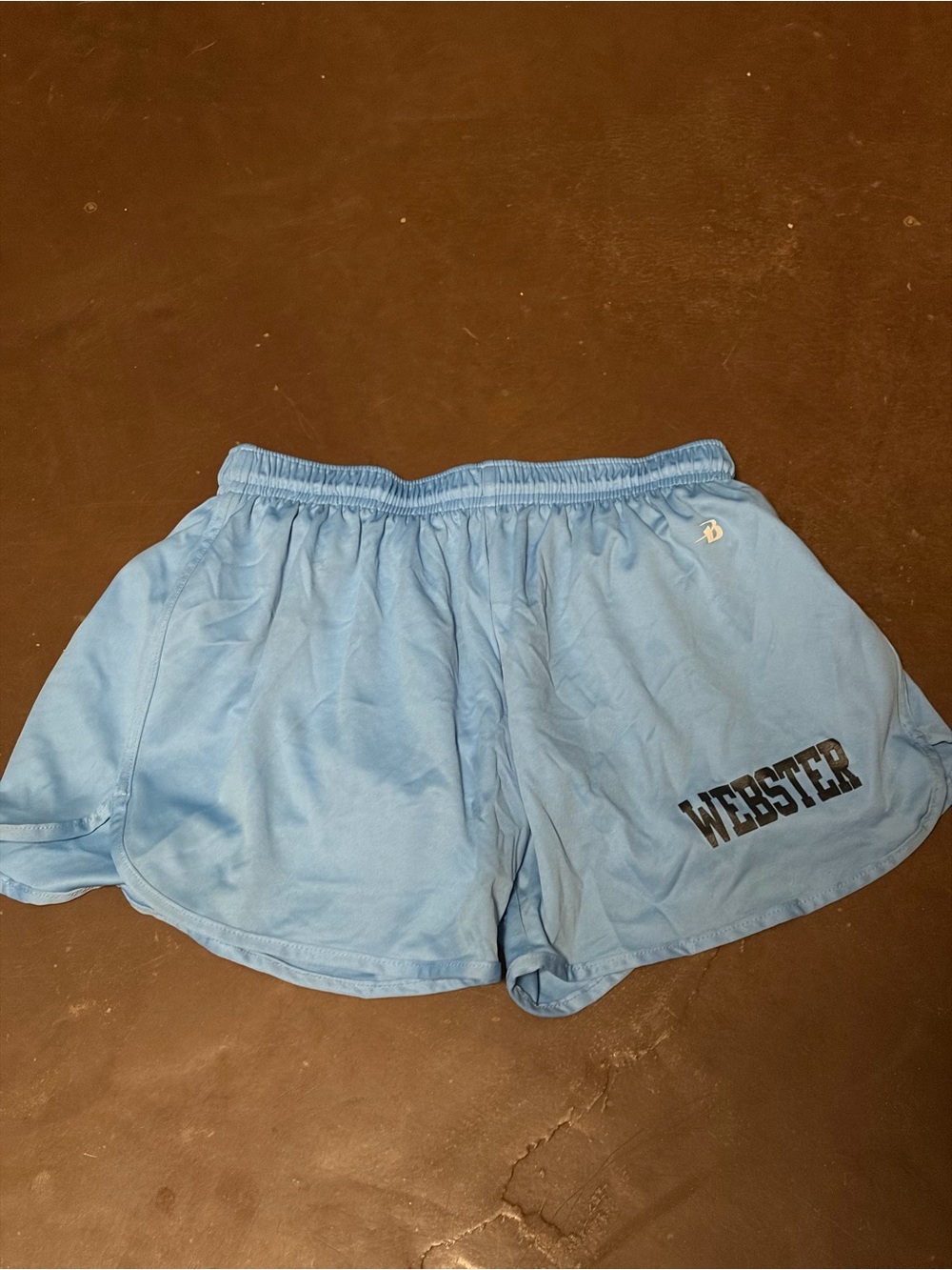 Webster Light Blue Athletic Shorts for Women